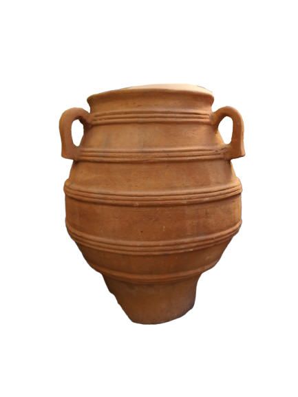 Olivera chica